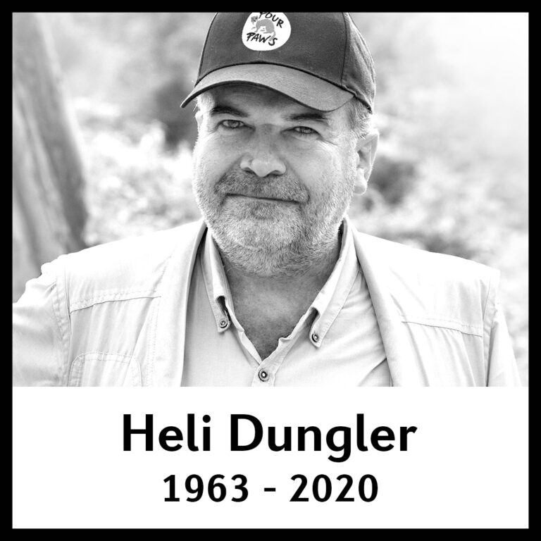 Breaking! Tragic News As The Animal Welfare Community Mourns The Sudden Loss Of FOUR PAWS Founder & President Heli Dungler