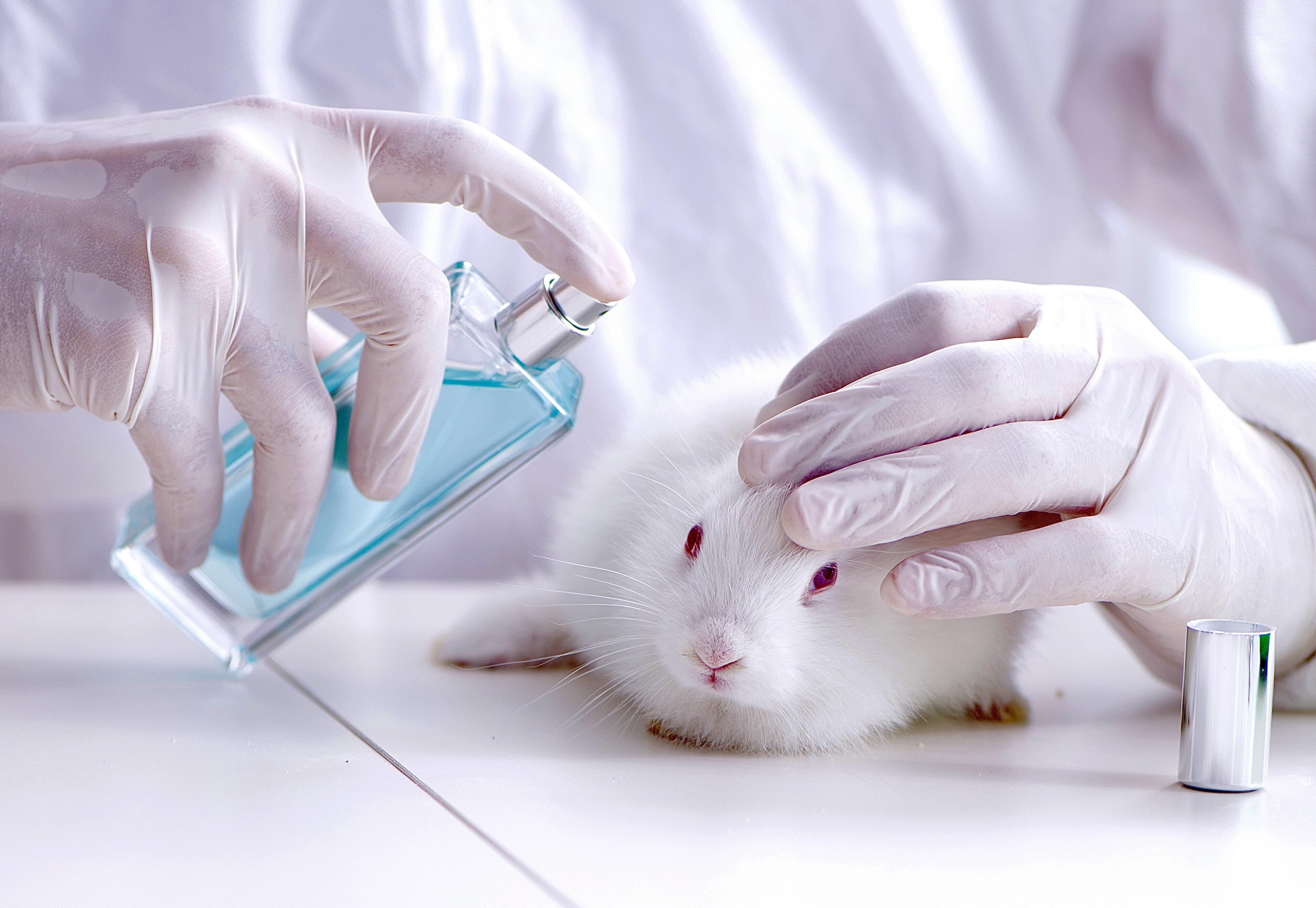 research papers on animal testing for cosmetic