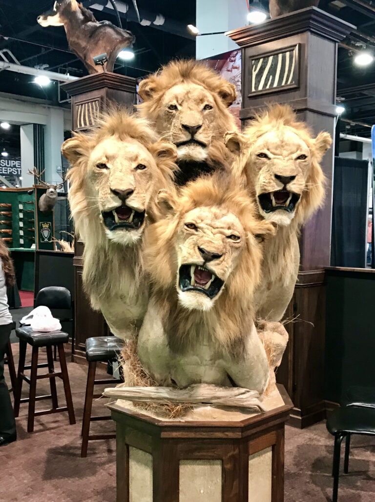 Safari Club International’s Annual Trophy Hunting Convention Is Taking Place In Reno, Nevada, From February 5th- 8th Promoting The Senseless Killing Of Our Earth’s Precious Wildlife
