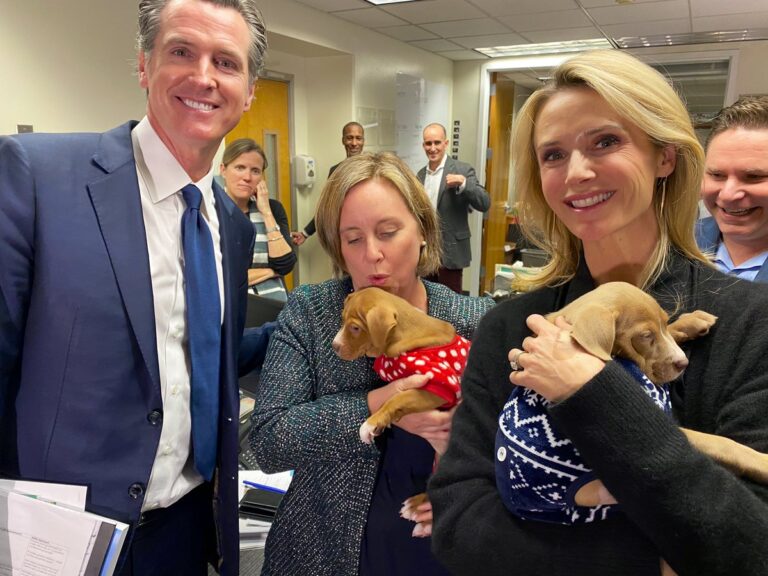 Breaking! California Governor Gavin Newsom Allocates $50 Million Dollars To End Euthanasia In Animal Shelters Throughout The State