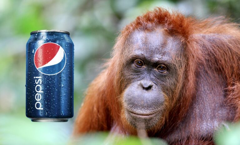 Breaking! PepsiCo Adopts A Comprehensive New Policy For Sourcing Palm Oil After Addressing Deforestation & Human Rights Violations