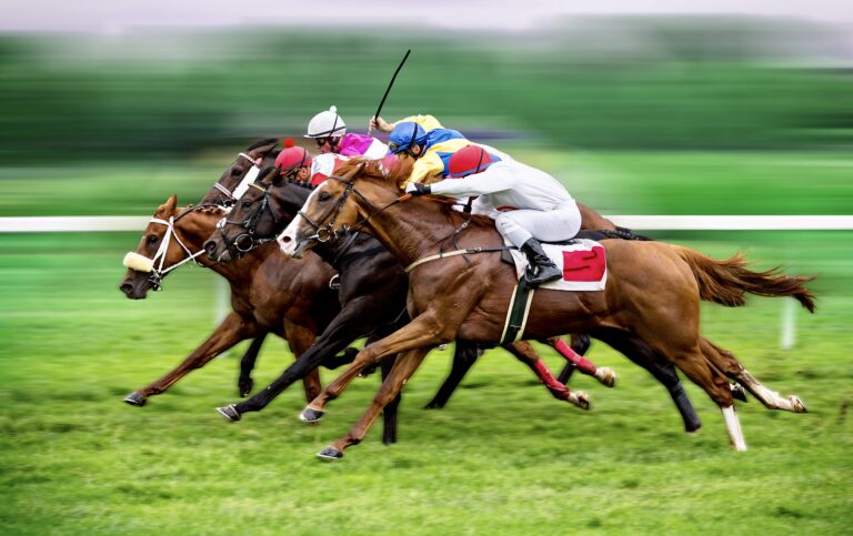 New Bill Introduced In California Aims To Increase Protection For Race Horses Throughout The State