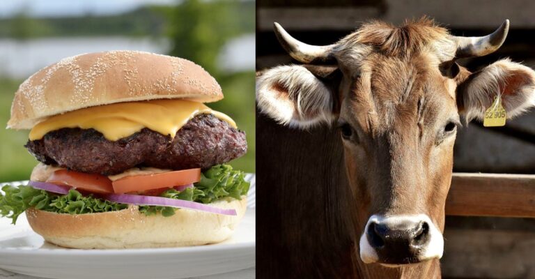 New Report Reveals That 70% Of Americans Rarely Discuss The Environmental Impact Of Their Food; This Must Change!