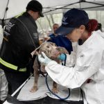 FL Cruelty Rescue