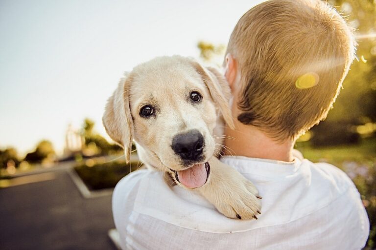 Humane Society Of The United States Offers Tips For Pet Owners During COVID-19 Pandemic