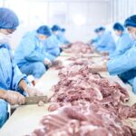 meat industry