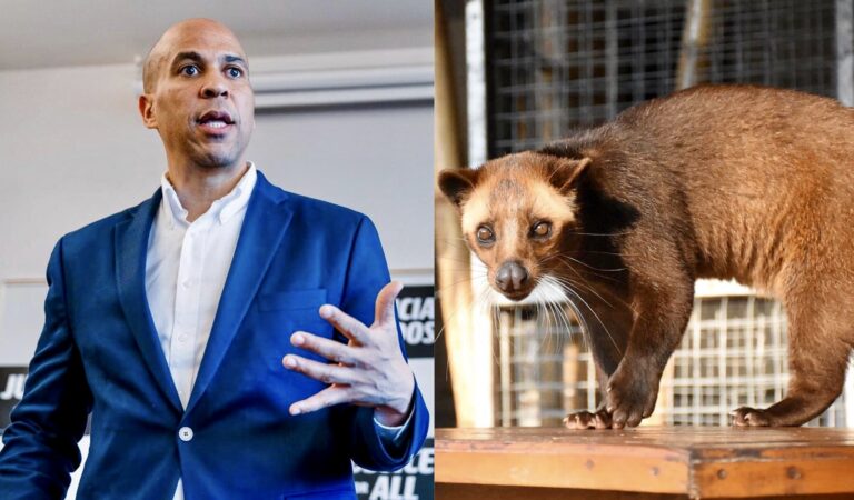 Cory Booker Among More Than 60 U.S. Senators & Representatives Urging The World Health Organization To End Wet Markets