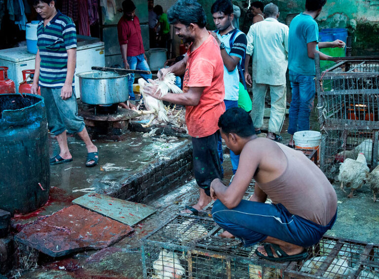 URGENT! Signatures Needed For Petition Urging The United Nations To Ban Wet Markets Around The World Amid Coronavirus Outbreak