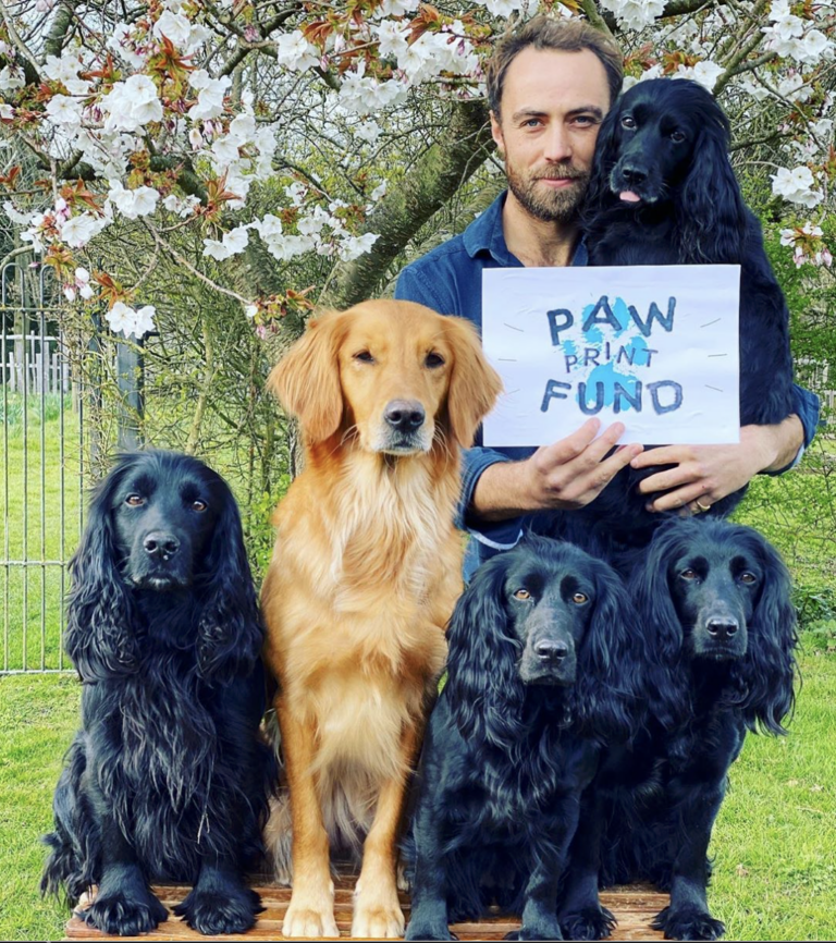 WAN Talks To Dogs Trust UK About Receiving Help From James Middleton’s Newly-Formed Paw Print Fund
