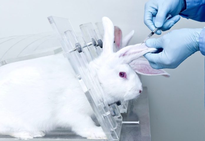 The Colombian Senate Votes To Ban Animal Testing For Cosmetics; Bill Now  Moves To President's Desk For Signature - World Animal News