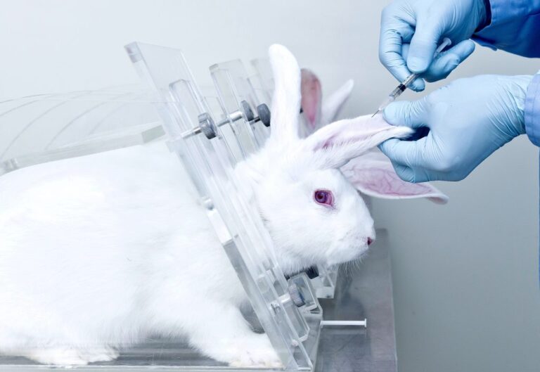 The Colombian Senate Votes To Ban Animal Testing For Cosmetics; Bill Now Moves To President’s Desk For Signature