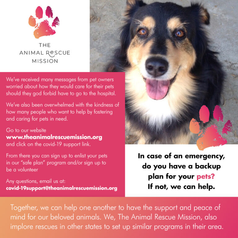 Animal Rescue Mission Launches Support Program To Aid Pet Owners In Time Of COVID-19 Crisis