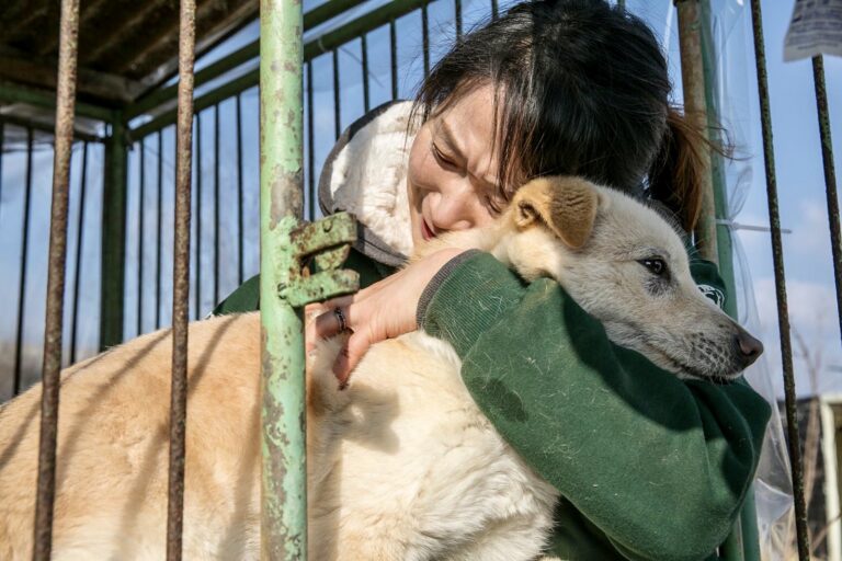 Humane Society International Saves 70 Dogs From South Korean Dog Meat Farm & Helps Farmer Transition To Growing Vegetables Instead