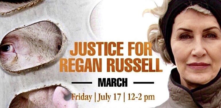 Peaceful Rally Happening Now In Toronto To Honor Activist Regan Russell Who Was Struck & Killed By A Fearmans Slaughterhouse Truck In Canada; Justice Must Be Served!