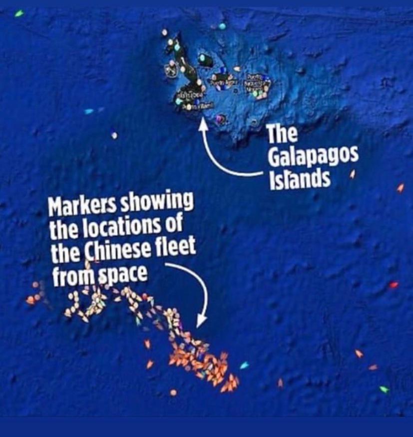 The Chinese fleet that encircled Galapagos devastates the sea and evades  regulations – SOS Galápagos