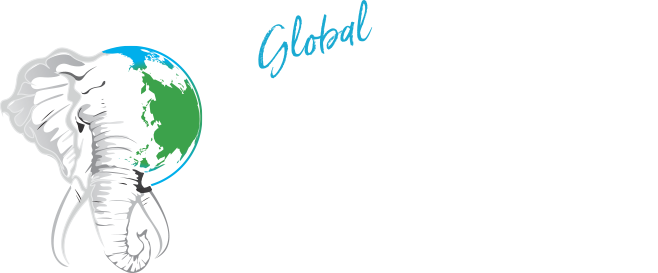 World Animal News