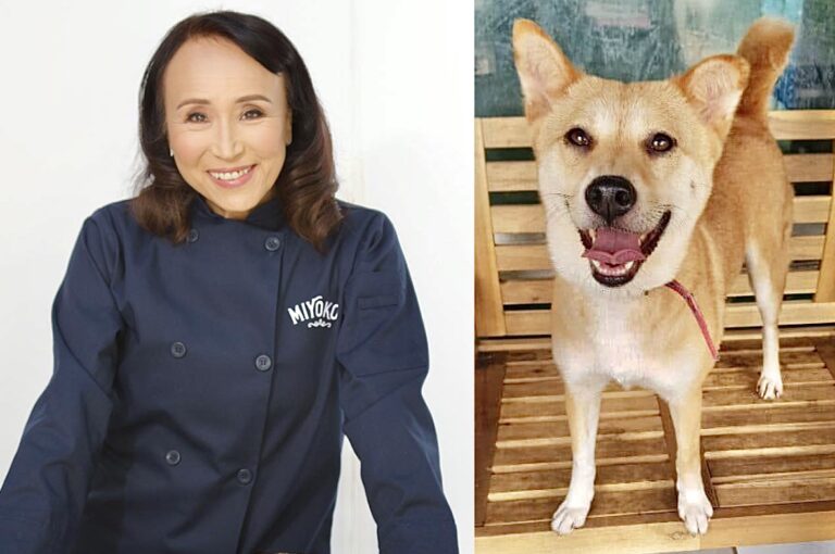 Miyoko’s Creamery Founder Helps Fly Dog Meat Trade Survivor From Seoul To Her New Forever Home In San Francisco; More Volunteers Needed!