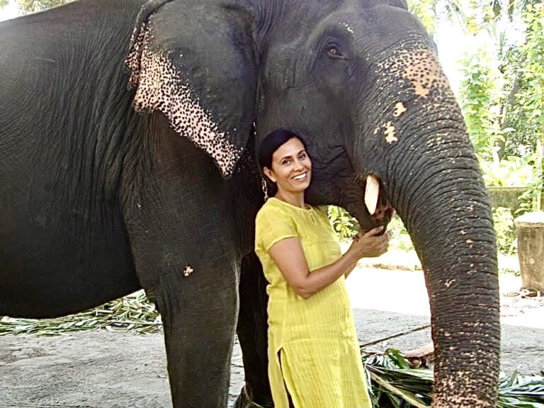 WAN Talks With World Renowned Elephant Advocate Sangita Iyer About Her Virtual Festival That Will Help Save Odisha’s Last 2,000 Wild Elephants