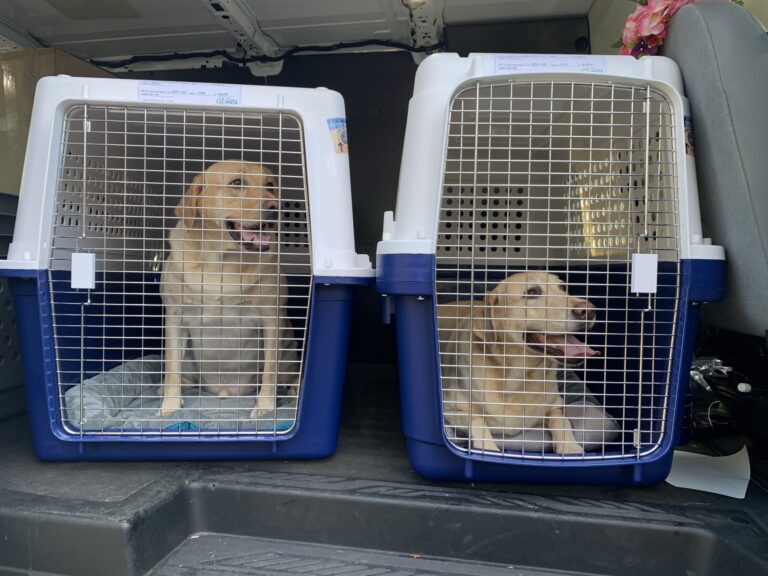 SPCA’s Operation Military Pets Marks Its 2,000th Grant Helping U.S. Soldiers Transport Their Pets When They Are Transferred To Duty