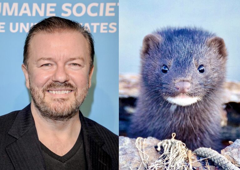 Breaking! Ricky Gervais Teams Up With In Defense Of Animals For Fur Free Friday; Calls For Saks & Neiman Marcus To Stop Selling Fur!