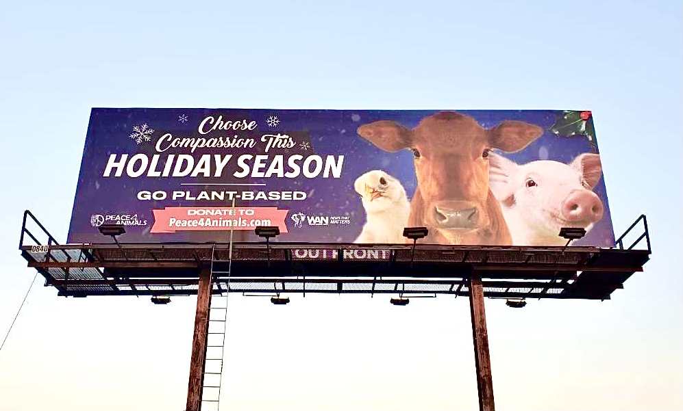 Peace 4 Animals' & WAN's New Billboard Campaign Urges People To Save  Millions Of Lives This Holiday By Choosing Health & Compassion On Their  Plate - World Animal News