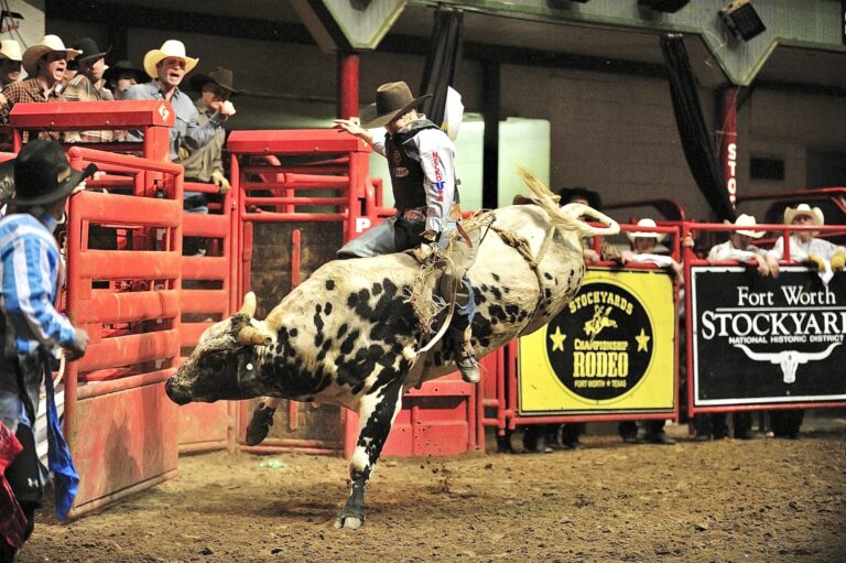 WAN Exclusive With Patty Shenker About L.A. City Banning The Use Of Barbaric Shocking Devices & Other Cruel Instruments On Animals In Rodeos