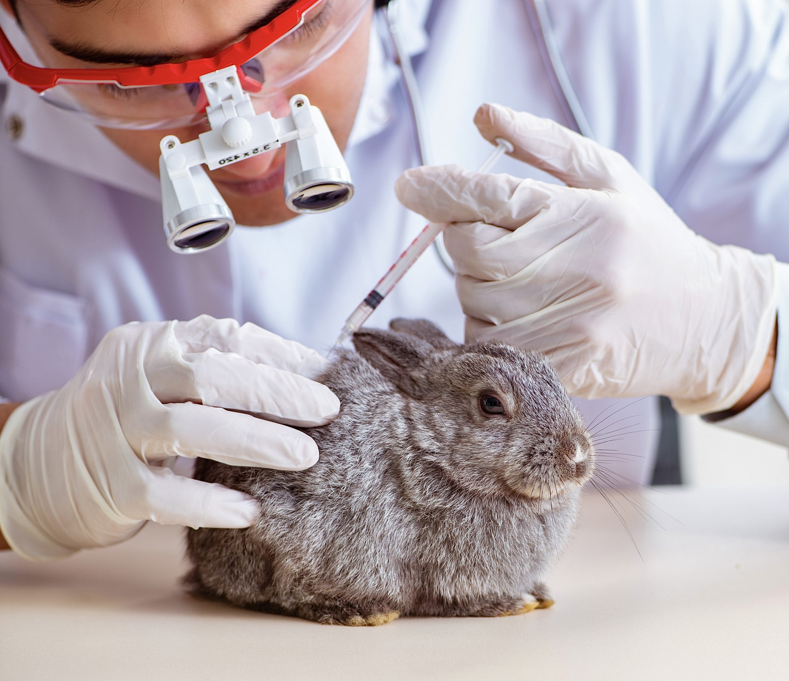 Вакцина мыши. Кролик ученый. Вакцинация животных. Животные в лаборатории.