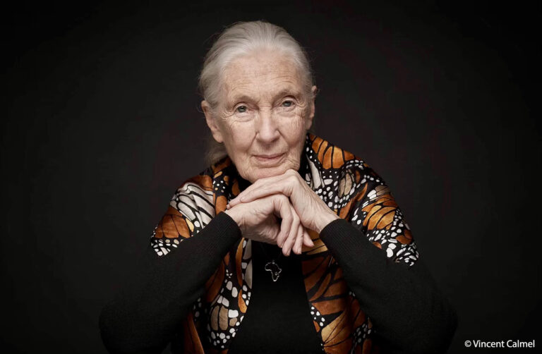 Join Mercy For Animals On June 10th For Their HOPE Gala Honoring Dr. Jane Goodall, Hosted By Tabitha Brown