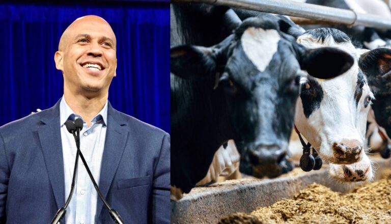Breaking! U.S. Senator Cory Booker Reintroduces The Farm System Reform Act; Multi-Layered Legislation Includes Putting A Moratorium On Large Factory Farms