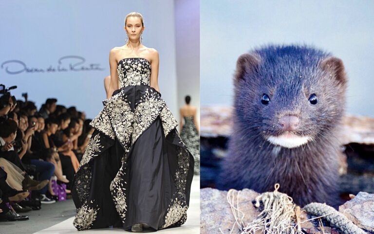 WAN Exclusive With ‘Coalition To Abolish The Fur Trade USA’ On Oscar De La Renta Going Fur-Free!