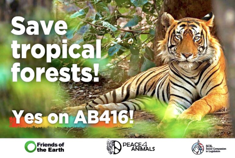 Take Action! Calls Needed This Week To Help Pass Important California Bill To Save Critical Rainforest Habitat From Deforestation