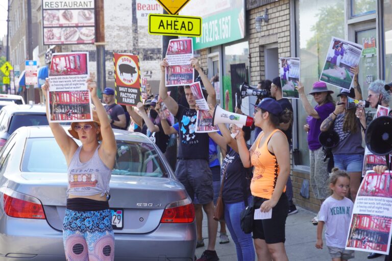 WAN Exclusive On Slaughter Free Chicago’s Campaign To Close Illegal Slaughterhouses In The City; Rally Planned For Friday, October 22nd