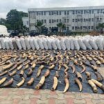 nigeria-customs-services