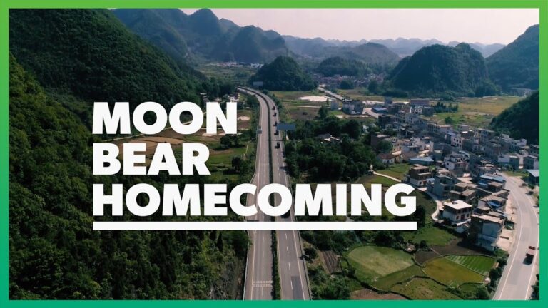 Animals Asia’s New Short Film ‘Moon Bear Homecoming’ Narrated By James Cromwell Follows The Epic Freedom Story Of 101 Rescued Bears