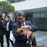 ricardo-monreal-senado-libre-de-crueldad