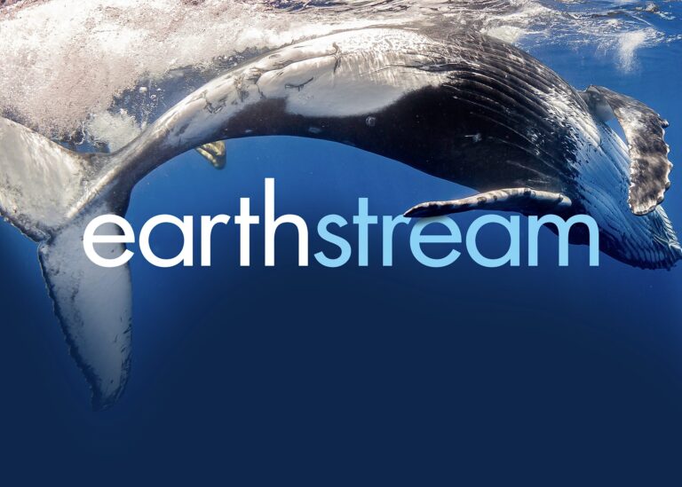 EarthStream, A New Streaming Platform Supports Animal Welfare & Environmental Nonprofits By Presenting Powerful TV Shows & Films