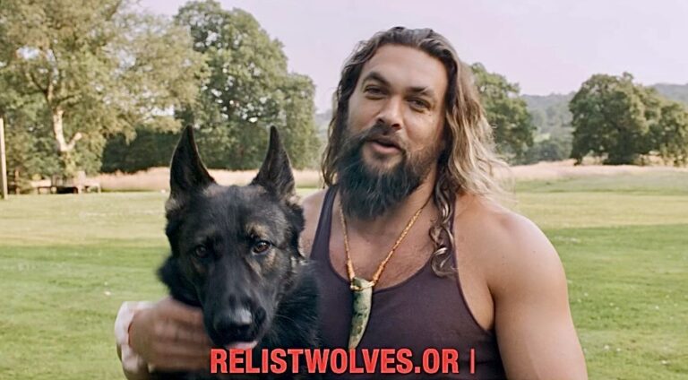 New PSA Featuring Actor Jason Momoa & Other Well-Known Advocates Urge The U.S. Government To Relist Wolves Under The Endangered Species Act