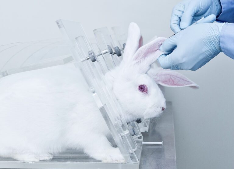 Victory! New Jersey Becomes The Eighth State In The U.S. To Ban The Sale Of Cosmetics Tested On Animals