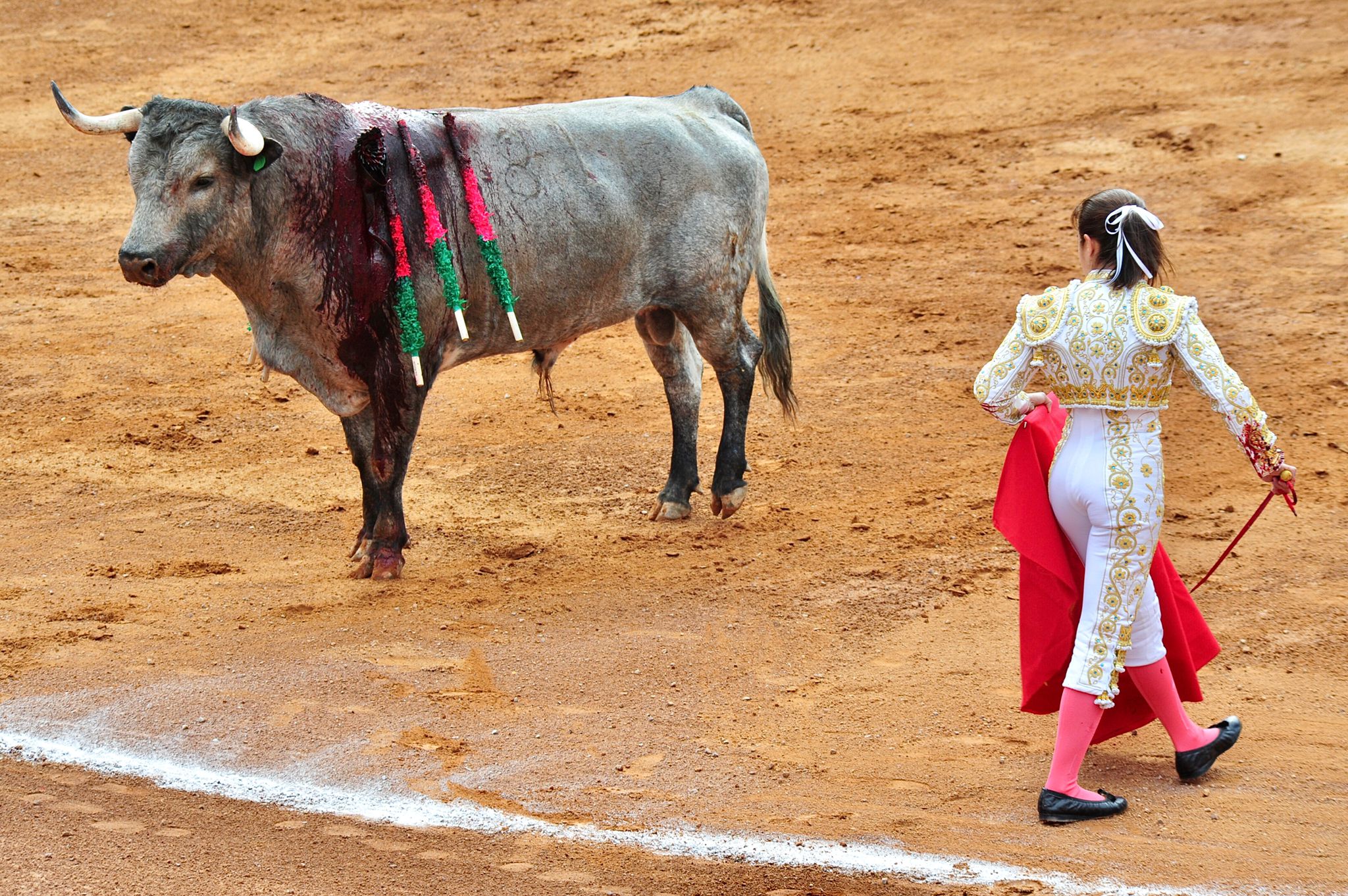 Victory! Sinaloa Becomes The Fifth State In Mexico To Ban Cruel & Archaic  Bullfighting - World Animal News