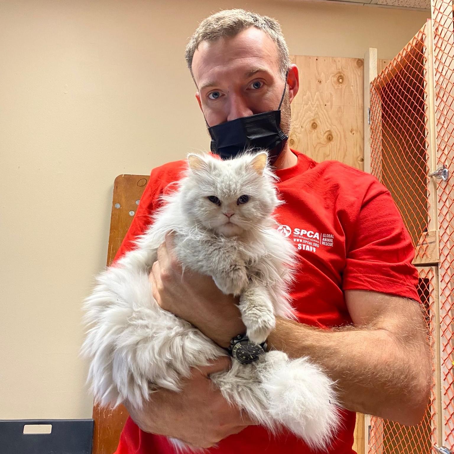 SPCA International, Kabul Small Animal Rescue, Marley's Mutts & More Save  285 Dogs & Cats Stranded For Six Months In Afghanistan - World Animal News