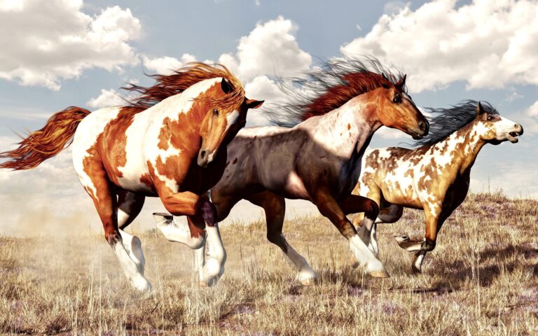 Reforms To Bureau Of Land Management’s Wild Horse Adoption Incentives Program Is Leading Horses To Slaughter