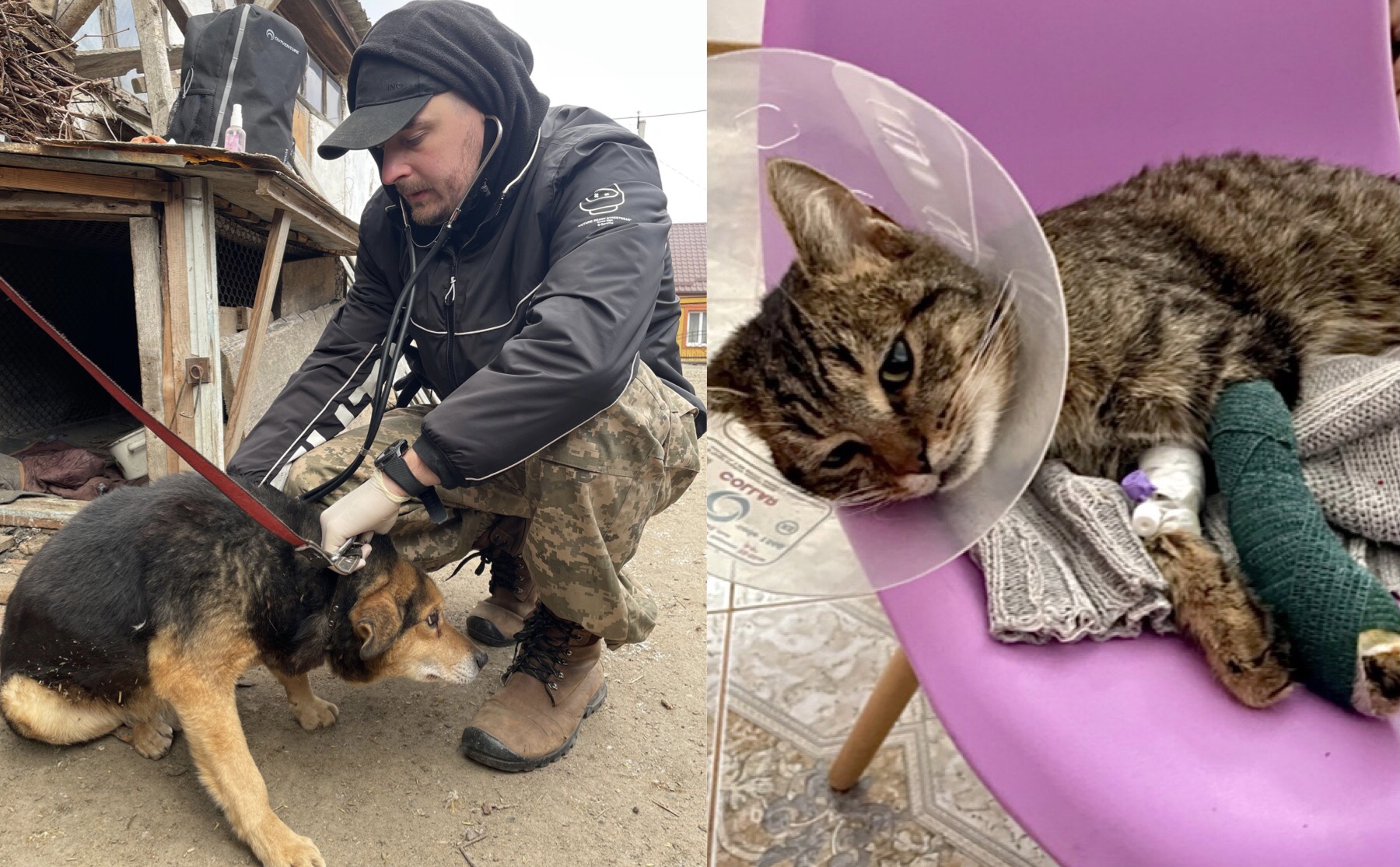 Hero Veterinarian Dr. Matviichuk Risks His Life To Care For Animal Victims  Of War-Torn Ukraine; Help 'In Defense Of Animals' Support His Courageous  Efforts - World Animal News