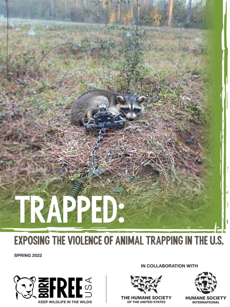 Hunting, Fishing, Trapping - National Humane Education Society