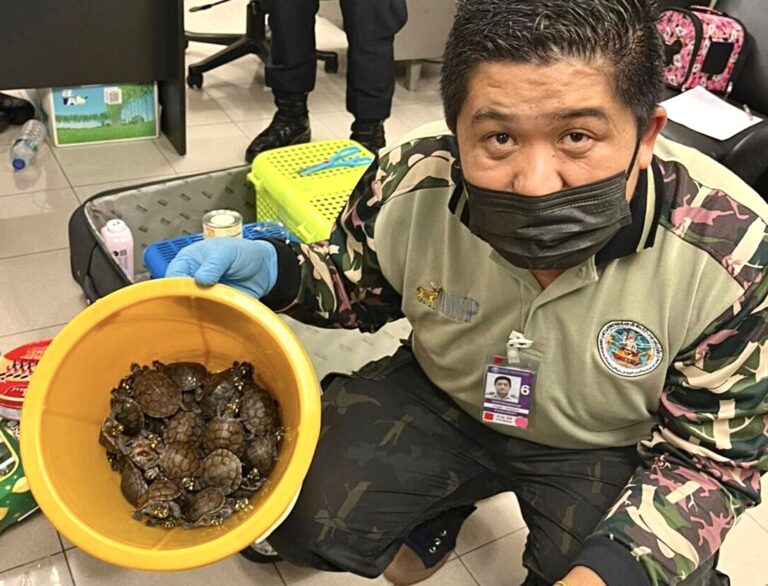Over 100 Live Animals Found Hidden In Suitcases At Bangkok Airport; Two Wildlife Smugglers Have Been Arrested