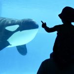 Child with Dad at aquarium