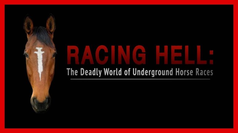 Breaking! Video Exposé; Horses Doped With Meth And Cocaine, Electroshocked At Unsanctioned Horse Races