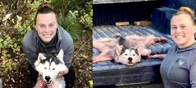 Hold Montana Huntress Amber Rose Barnes Responsible For Killing & Skinning A Husky Puppy Who She “Thought” Was A Wolf & Bragged About It On Social Media