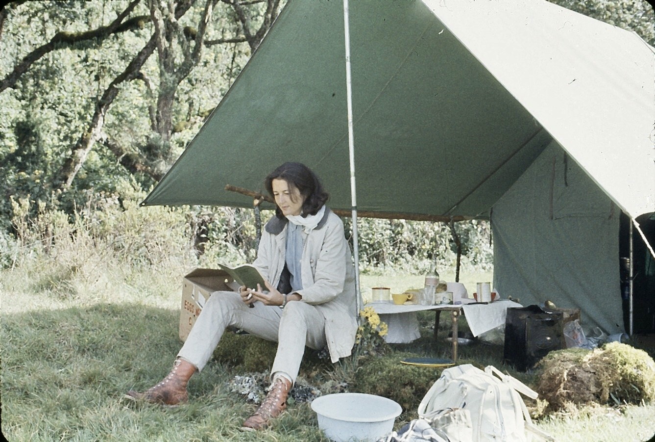 Dian fossey презентация