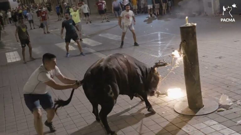 Archaic Bullfighting In Spain Claims The Lives Of Nine People; Sadly, The Number Of Bulls Injured Or Killed Remains Unknown