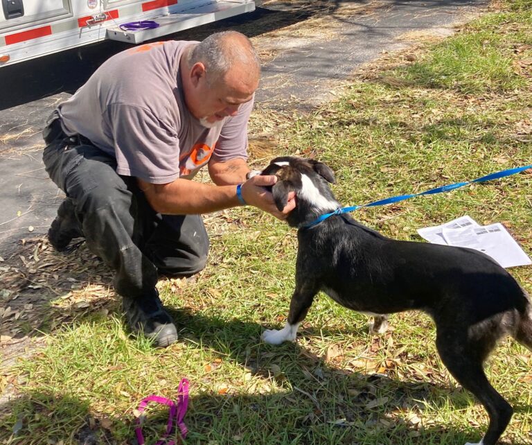ASPCA Disaster Response Team Is On The Ground In Florida Conducting Search & Rescue Efforts For Animals Displaced by Hurricane Ian
